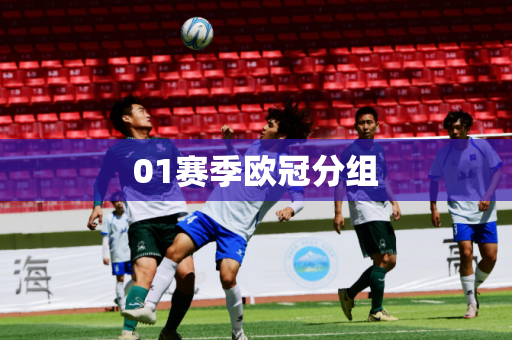 01赛季欧冠分组 01赛季欧冠分组