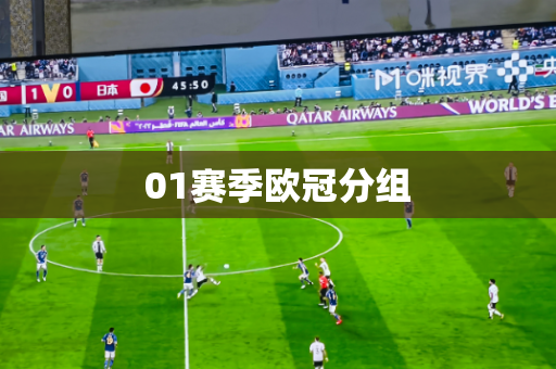01赛季欧冠分组