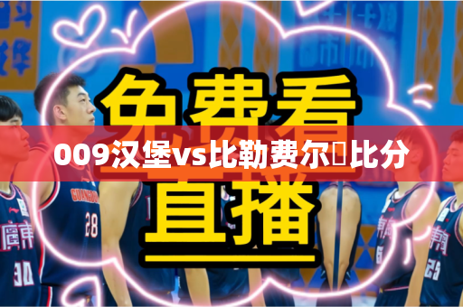 009汉堡vs比勒费尔徳比分