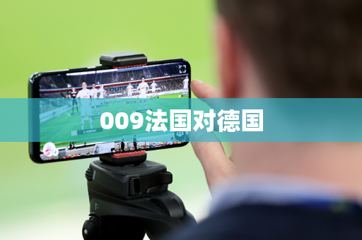 009法国对德国