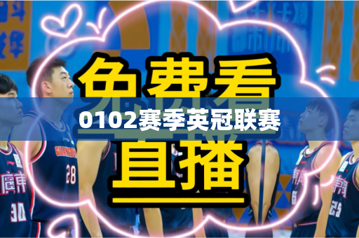 0102赛季英冠联赛 0102赛季英冠联赛