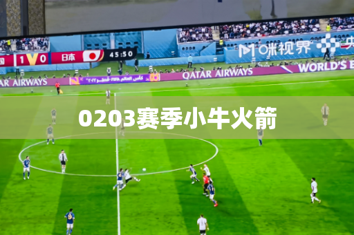 0203赛季小牛火箭 0203赛季小牛火箭
