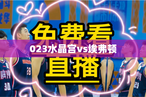 023水晶宫vs埃弗顿 023水晶宫vs埃弗顿