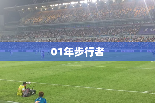 01年步行者