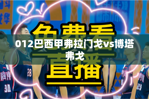 012巴西甲弗拉门戈vs博塔弗戈 012巴西甲弗拉门戈vs博塔弗戈