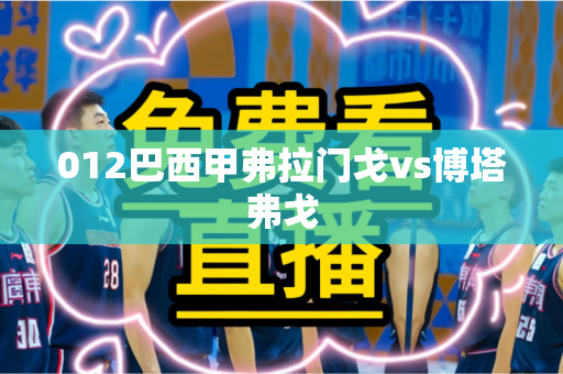 012巴西甲弗拉门戈vs博塔弗戈