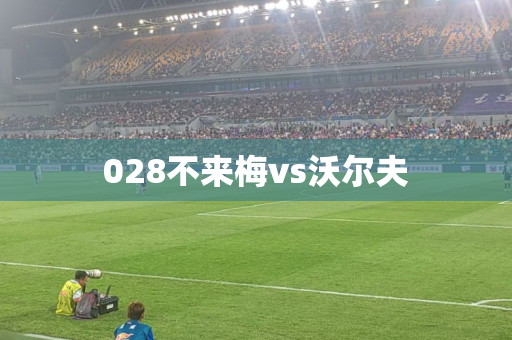 028不来梅vs沃尔夫 028不来梅vs沃尔夫