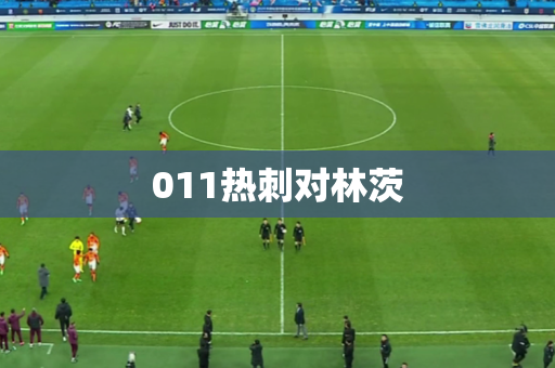 011热刺对林茨 011热刺对林茨