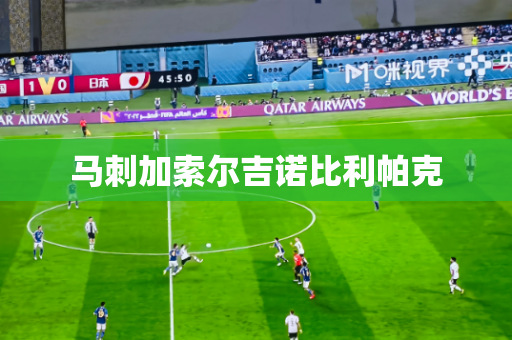 马刺加索尔吉诺比利帕克