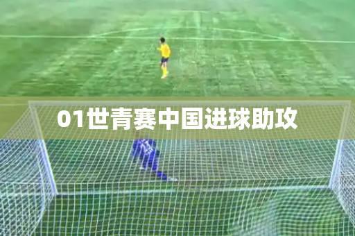 01世青赛中国进球助攻 01世青赛中国进球助攻