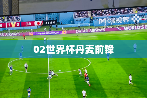 02世界杯丹麦前锋
