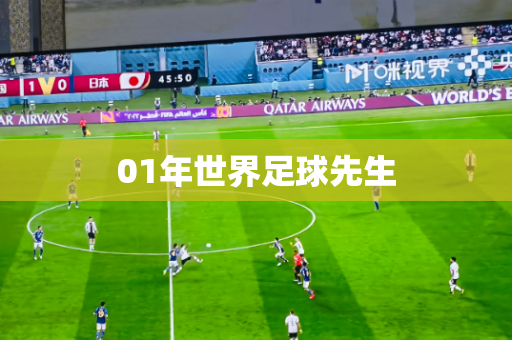 01年世界足球先生 01年世界足球先生