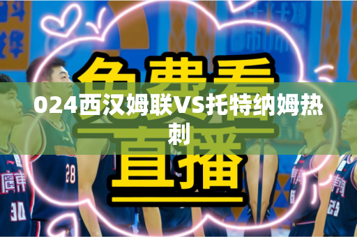 024西汉姆联VS托特纳姆热刺
