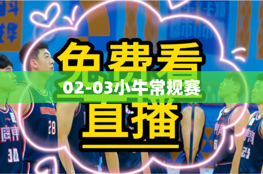02-03小牛常规赛