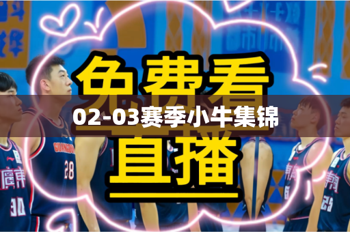 02-03赛季小牛集锦 02-03赛季小牛集锦