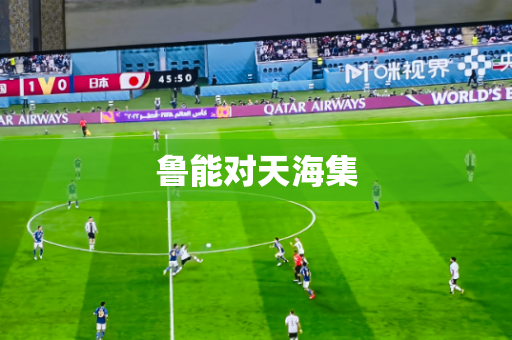 鲁能对天海集