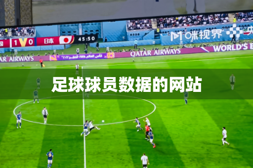 足球球员数据的网站