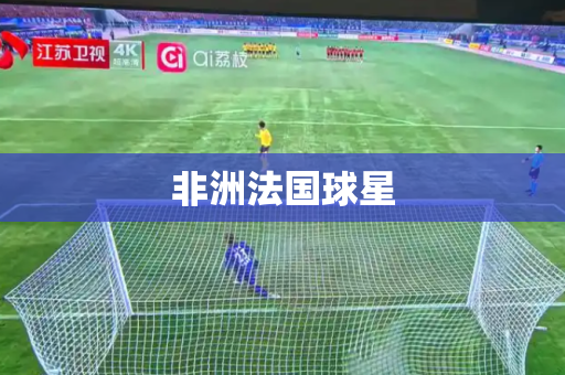 非洲法国球星 非洲法国球星