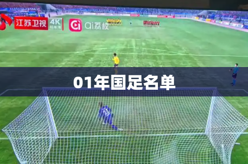 01年国足名单 01年国足名单