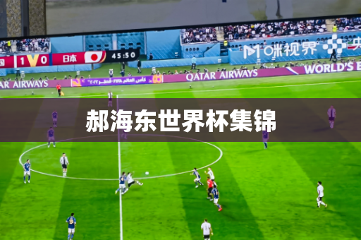 郝海东世界杯集锦