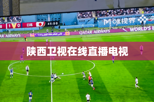 陕西卫视在线直播电视