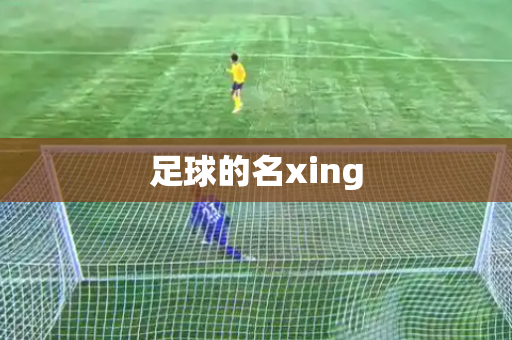 足球的名xing