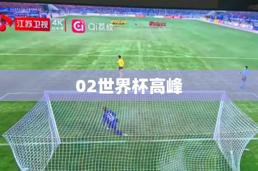 02世界杯高峰
