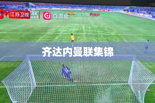 齐达内曼联集锦