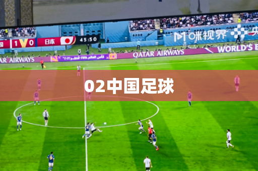 02中国足球