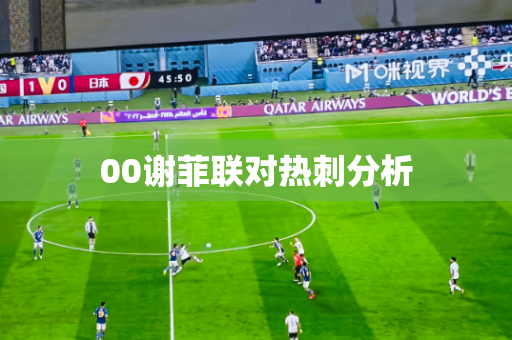 00谢菲联对热刺分析