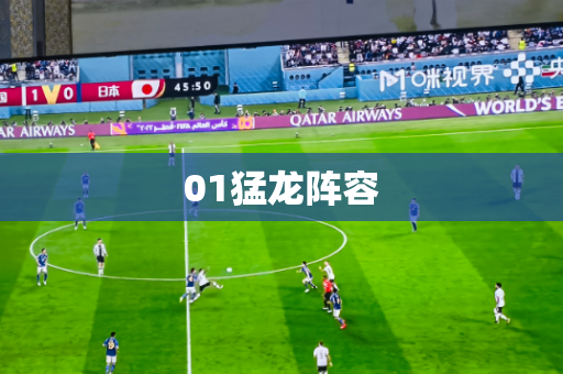 01猛龙阵容 01猛龙阵容