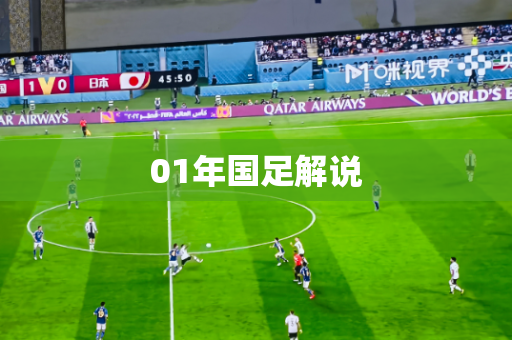 01年国足解说 01年国足解说