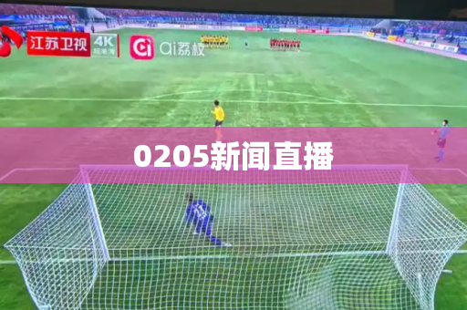 0205新闻直播 0205新闻直播