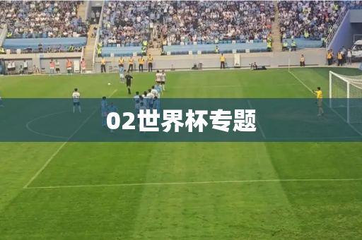 02世界杯专题 02世界杯专题