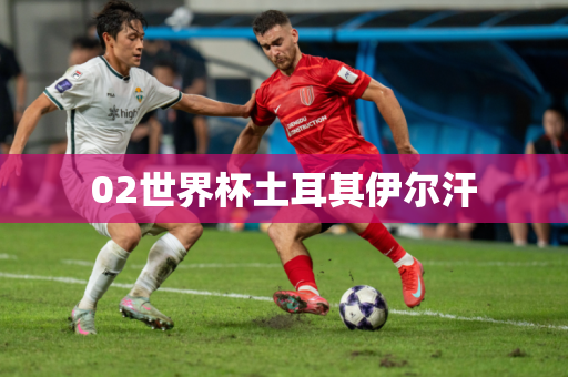 02世界杯土耳其伊尔汗 02世界杯土耳其伊尔汗