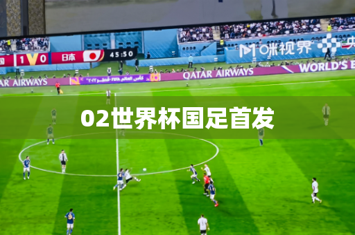 02世界杯国足首发