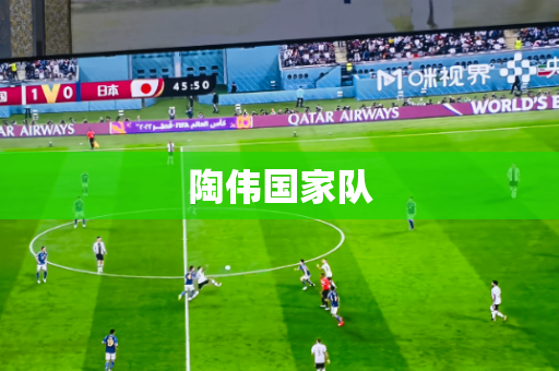 陶伟国家队 陶伟国家队