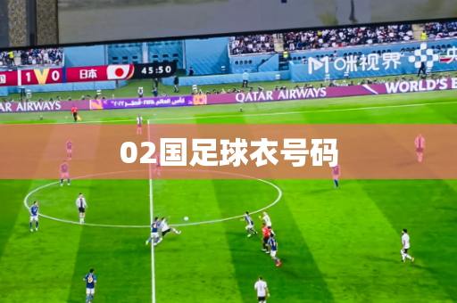 02国足球衣号码 02国足球衣号码