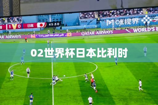 02世界杯日本比利时