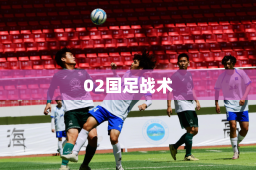 02国足战术 02国足战术