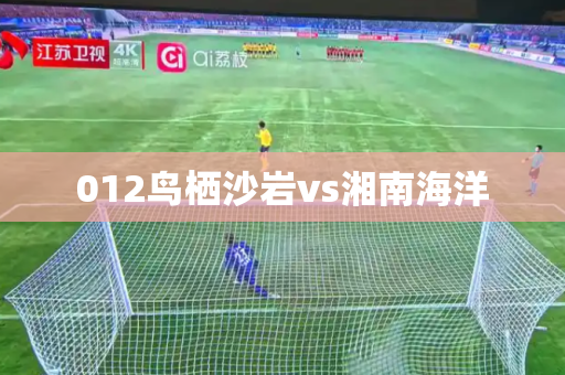 012鸟栖沙岩vs湘南海洋