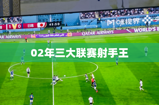 02年三大联赛射手王 02年三大联赛射手王
