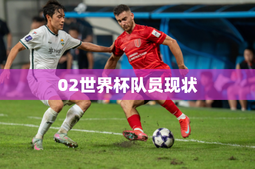 02世界杯队员现状