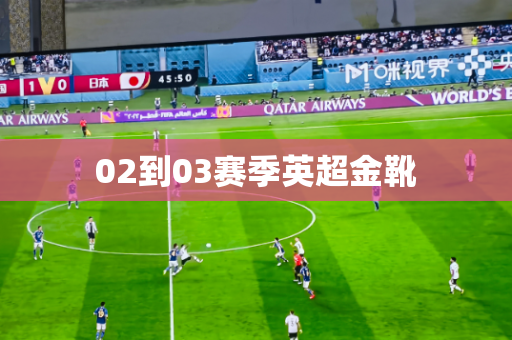 02到03赛季英超金靴