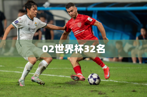 02世界杯32名