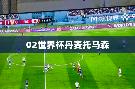 02世界杯丹麦托马森 02世界杯丹麦托马森