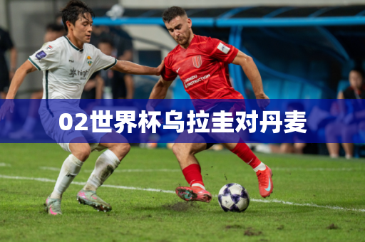 02世界杯乌拉圭对丹麦 02世界杯乌拉圭对丹麦