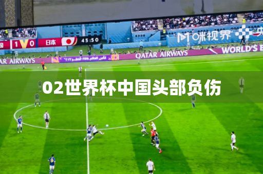 02世界杯中国头部负伤
