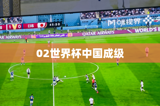 02世界杯中国成级