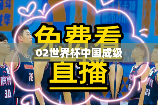 02世界杯中国成级